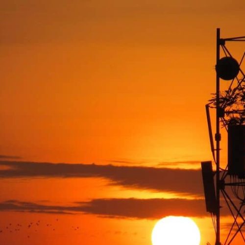 Telecom Industry Backs Govt Move To Tackle Spam Calls, Messages From OTT Platforms | Technology News