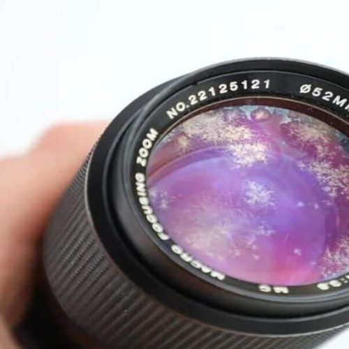How Lens Fungus Destroys Camera From Within – And What You Can Do About It | Gadgets News