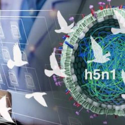 New-Gen AI Tool To Detect Bird Flu Virus Exposure, Boost H5N1 Surveillance | Technology News